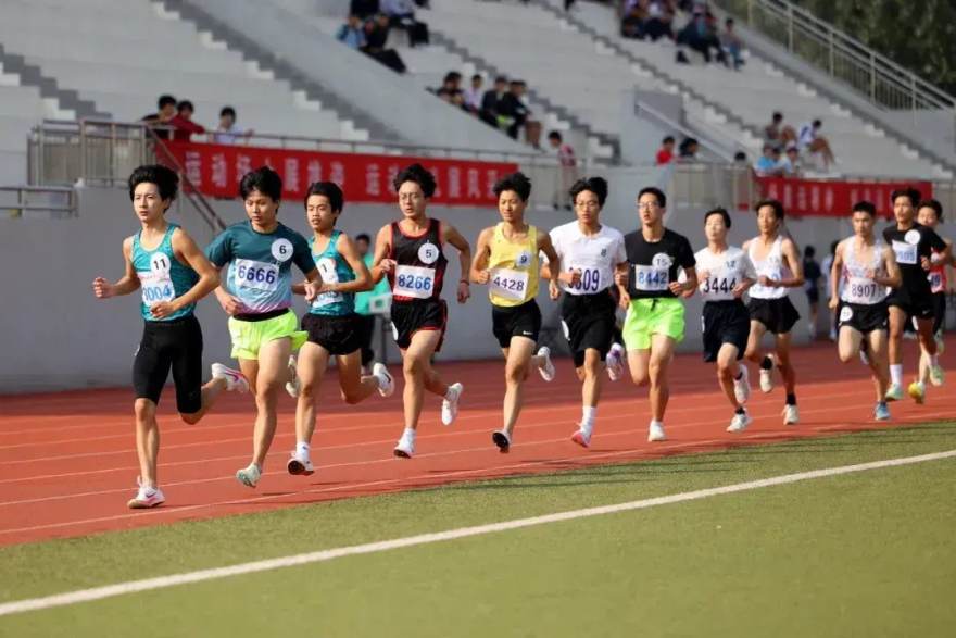 懂球帝实时比分与赛程服务界面